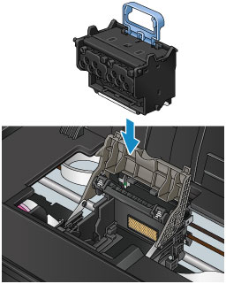 Canon ImagePROGRAF Handleidingen PRO 1000 Series De Printkop